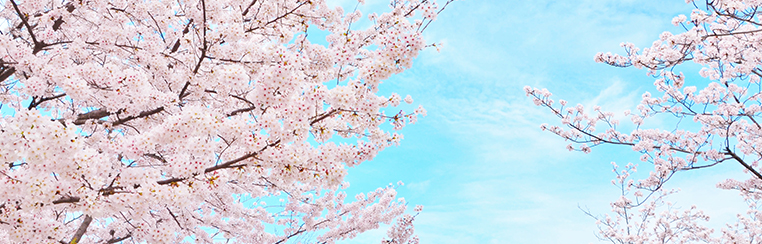 『はる・春、桜』