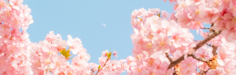 「転移なしで抗がん剤治療が終了！…喜びの経過報告のお電話をいただきました」