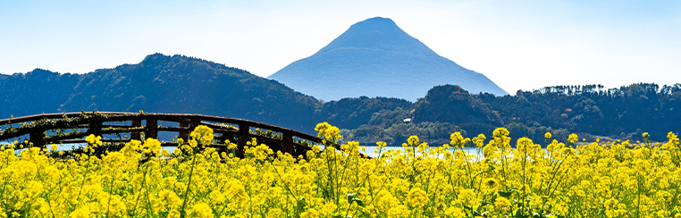 『春うらら🌸事務所移転』