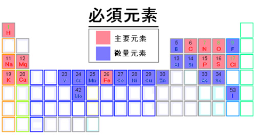 ミネラルって、何?