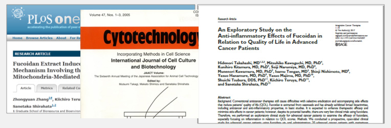 低分子化フコイダン…初の臨床研究論文